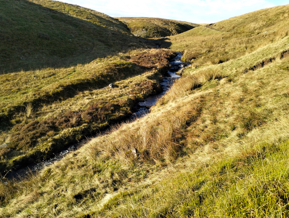 Path to the cliff tops in the Black Mountains Wales