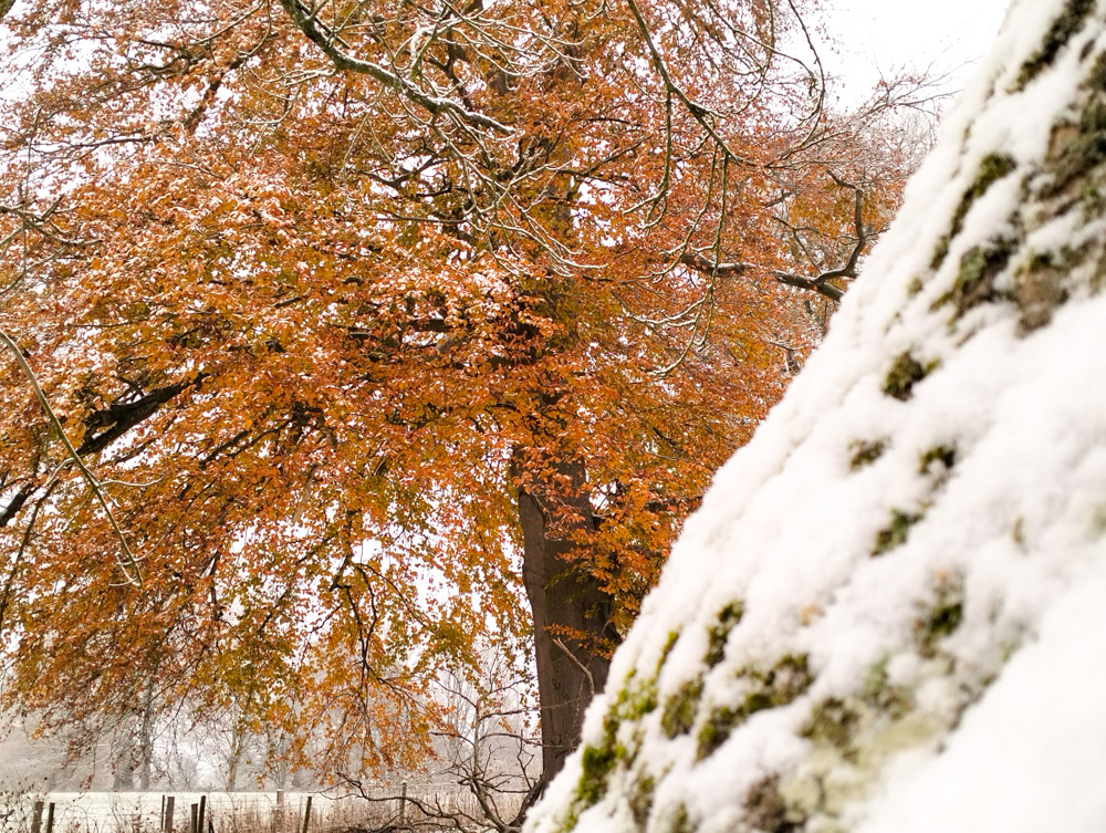 Wales Dingestow Court Old Lands Monmouthshire snow landscapes