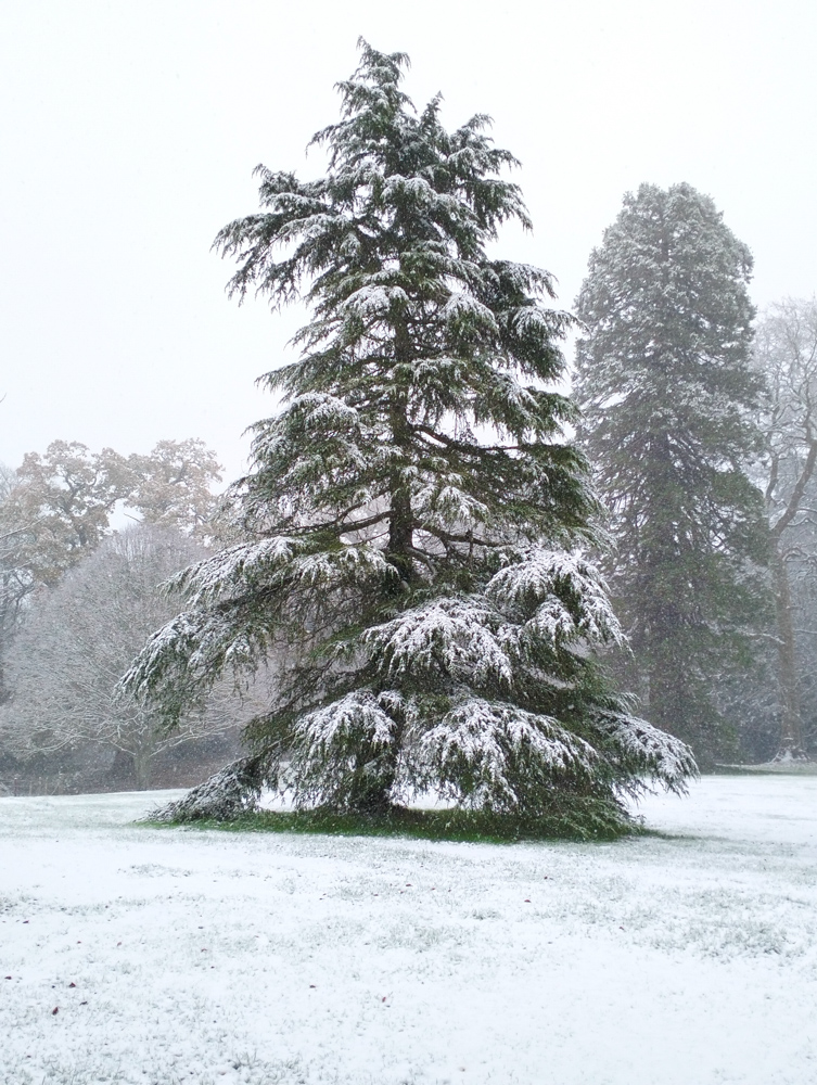 Wales Dingestow Court Old Lands Monmouthshire snow landscapes