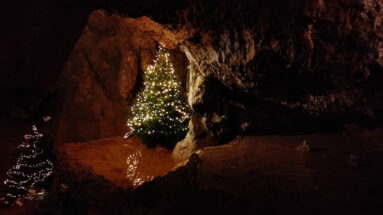 Clearwell Caves Forest of Dean Wales Christmas spirit Christmas tree fairytale