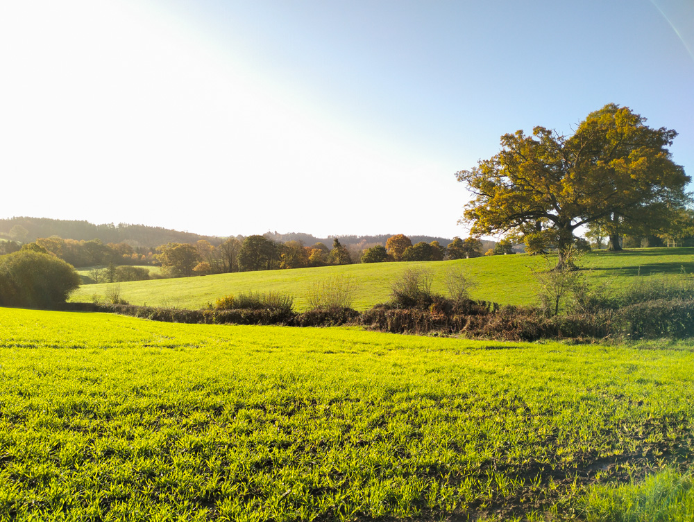 Old Lands Dingestow Monmouthshire Wales