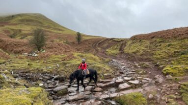 Transwales Trails horseriding in the Black Mountains in Wales