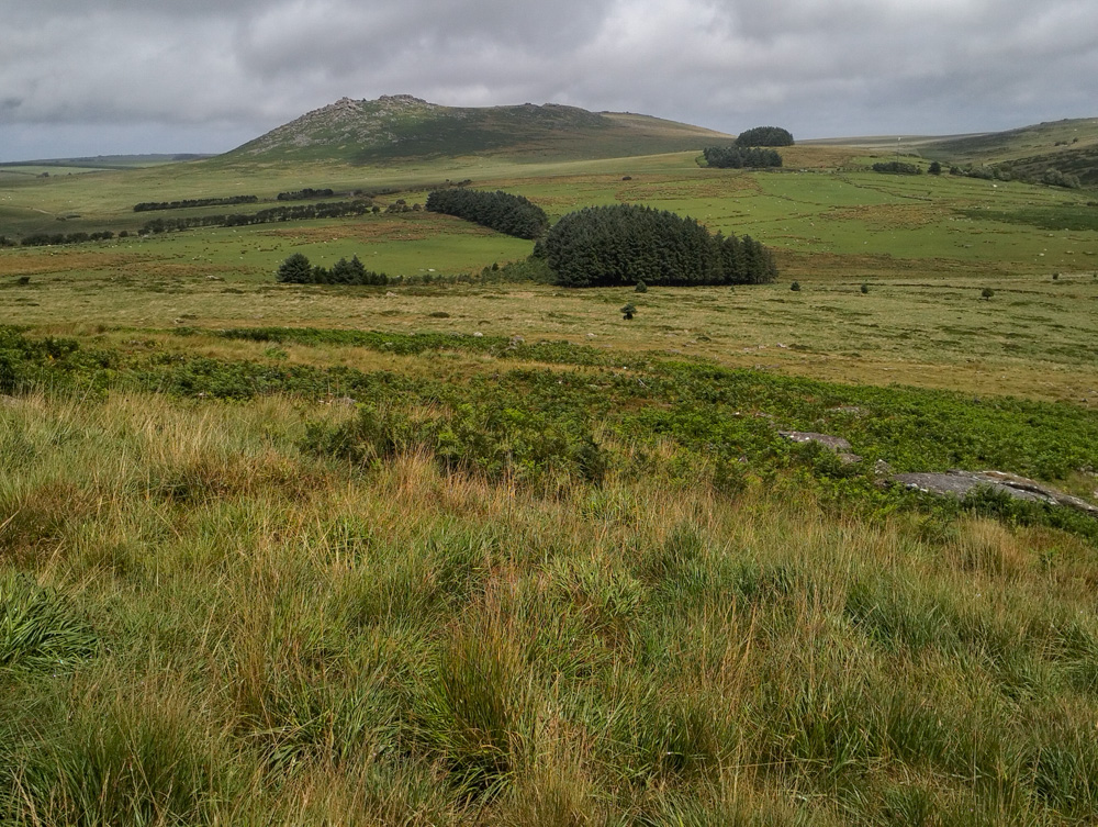 Out on the Moors