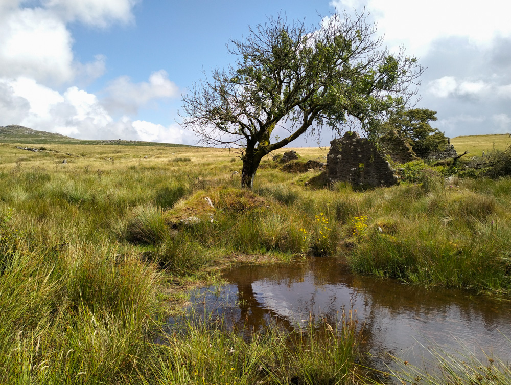 Bodmin Moor Cornwall Britain Garrow Tor Brown Willy Tor Rough Tor